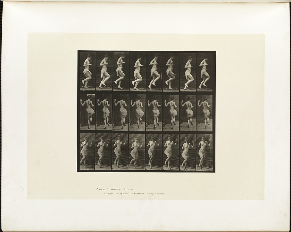 Animal locomotion. Plate 185