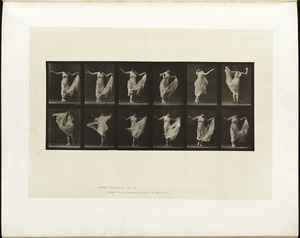 Animal locomotion. Plate 187