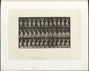 Animal locomotion. Plate 190