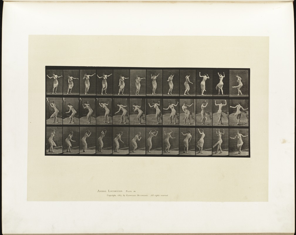 Animal locomotion. Plate 191
