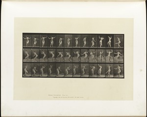 Animal locomotion. Plate 191