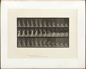 Animal locomotion. Plate 206