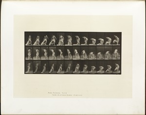 Animal locomotion. Plate 232