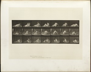 Animal locomotion. Plate 267