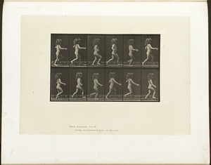 Animal locomotion. Plate 469