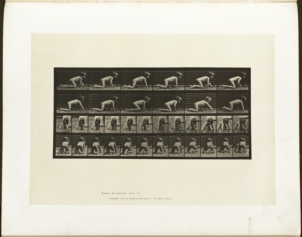 Animal locomotion. Plate 471