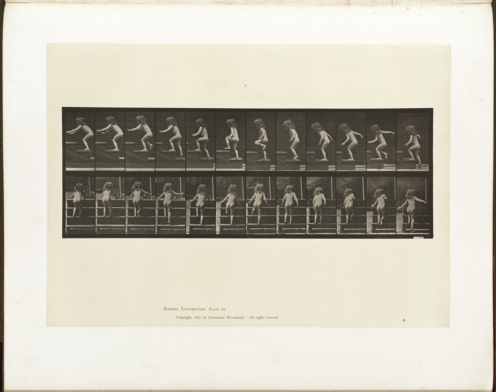 Animal locomotion. Plate 473
