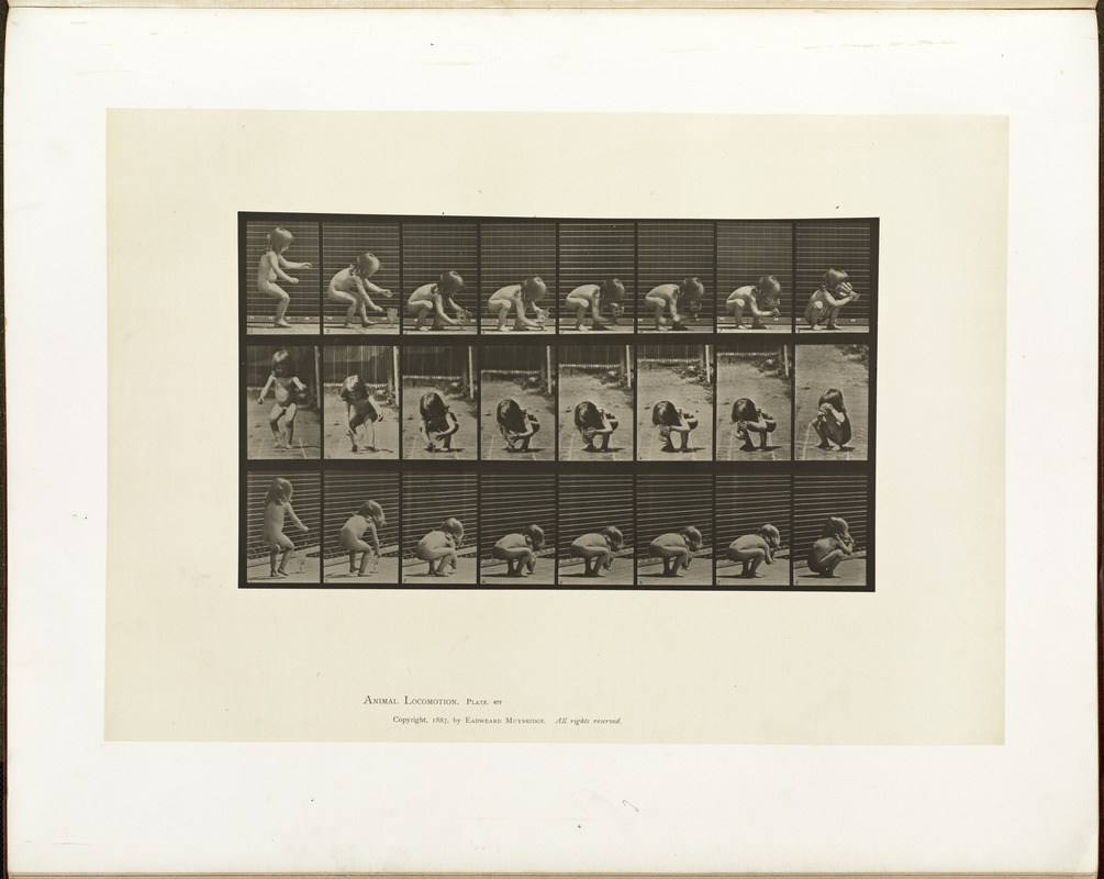 Animal locomotion. Plate 477
