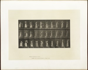 Animal locomotion. Plate 495