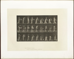 Animal locomotion. Plate 496