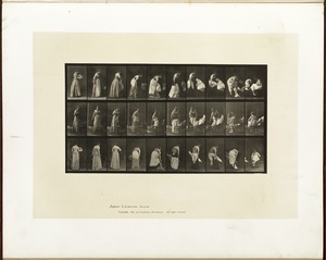 Animal locomotion. Plate 497