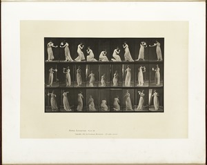 Animal locomotion. Plate 502