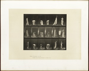 Animal locomotion. Plate 503