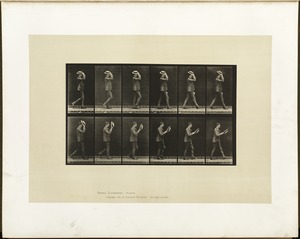 Animal locomotion. Plate 44