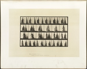 Animal locomotion. Plate 45