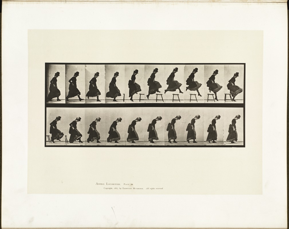 Animal locomotion. Plate 156