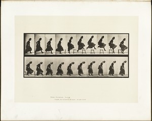 Animal locomotion. Plate 156