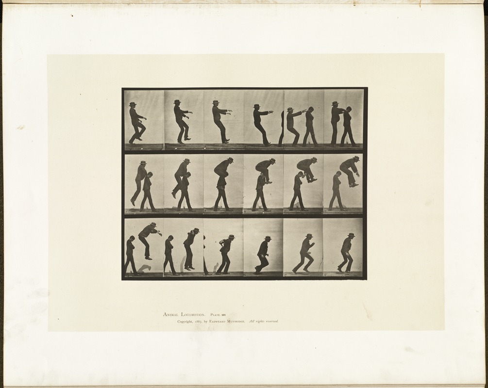 Animal locomotion. Plate 169