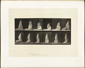 Animal locomotion. Plate 207