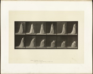 Animal locomotion. Plate 208