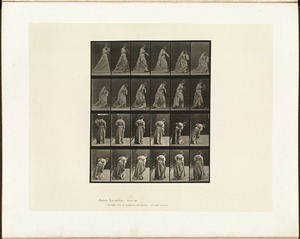 Animal locomotion. Plate 210