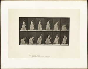 Animal locomotion. Plate 211