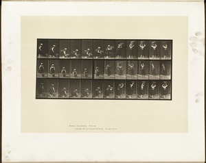 Animal locomotion. Plate 230