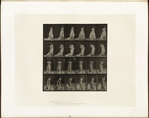 Animal locomotion. Plate 231