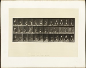 Animal locomotion. Plate 234