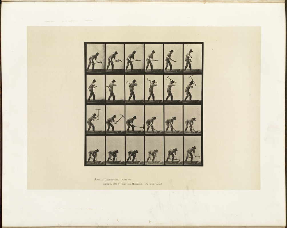 Animal locomotion. Plate 386