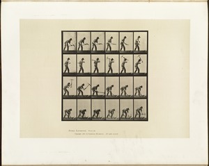 Animal locomotion. Plate 386