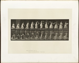 Animal locomotion. Plate 424