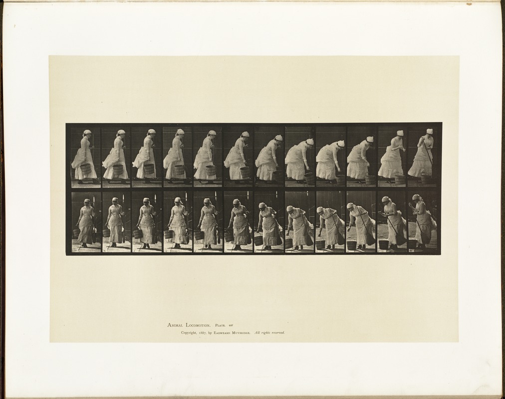Animal locomotion. Plate 437