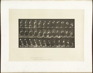 Animal locomotion. Plate 460