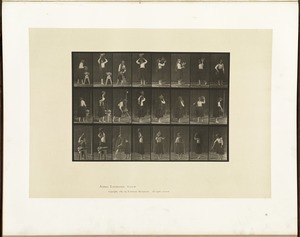 Animal locomotion. Plate 517