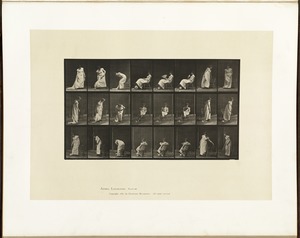 Animal locomotion. Plate 518