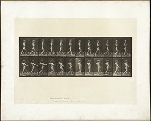 Animal locomotion. Plate 540