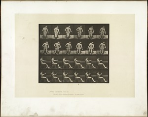 Animal locomotion. Plate 545
