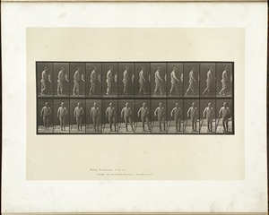 Animal locomotion. Plate 552