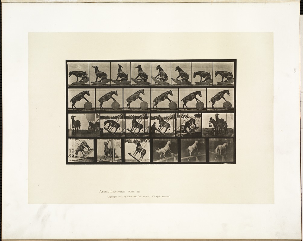 Animal locomotion. Plate 660