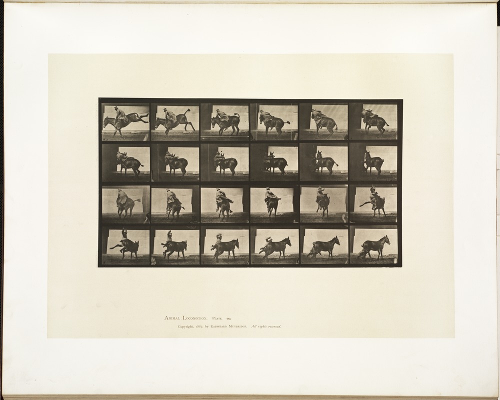 Animal locomotion. Plate 661