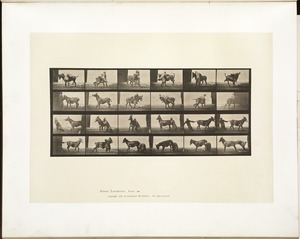 Animal locomotion. Plate 662
