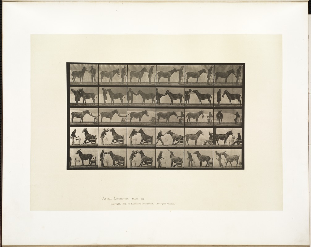 Animal locomotion. Plate 664