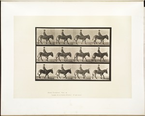 Animal locomotion. Plate 665