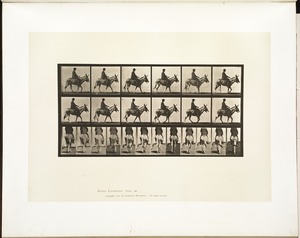 Animal locomotion. Plate 667