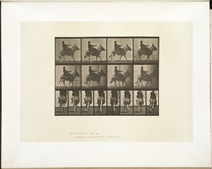 Animal locomotion. Plate 668