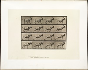 Animal locomotion. Plate 676