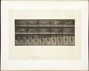 Animal locomotion. Plate 708