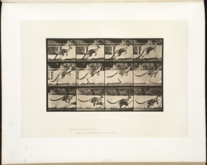 Animal locomotion. Plate 752