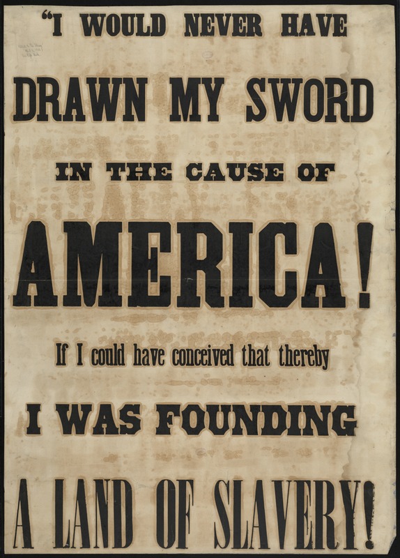 "I would never have drawn my sword in the cause of America if I could have conceived that thereby I was founding a land of slavery!"